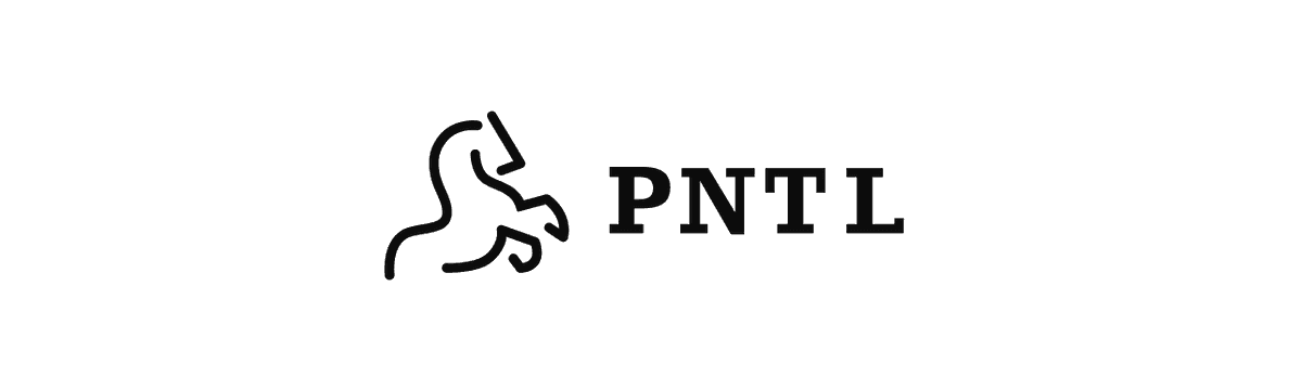 Pentium Network